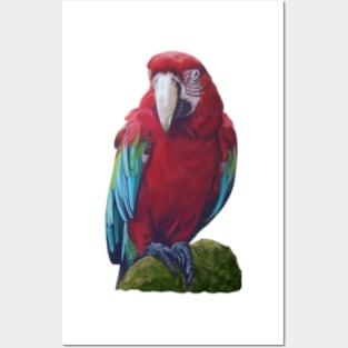 Scarlet Macaw - Digital illustration Posters and Art